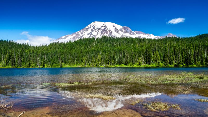 Mount Rainier National Park, Washington State, Landscape, Lake, Reflection, Green Trees, Clear sky, Blue Sky, Glacier mountains, Snow covered, Scenery, Wallpaper