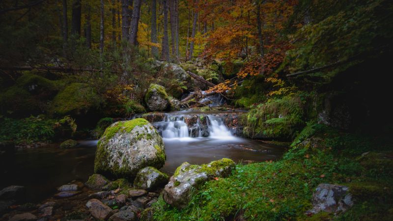 Waterfall, Autumn, Foliage, Forest, Woods, Greenery, Rocks, Green Moss, Long exposure, Water Stream, Landscape, Scenery, 5K, Wallpaper