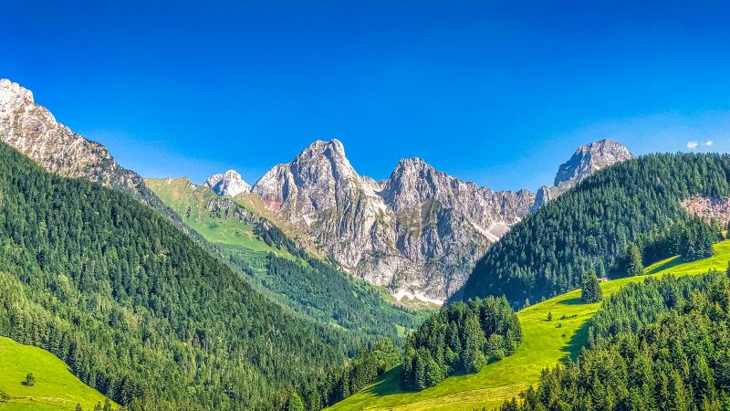 Alps mountains, Mountain range, Summer, Sunny day, Forest, Clear sky, Blue Sky, Landscape, Switzerland, Wallpaper