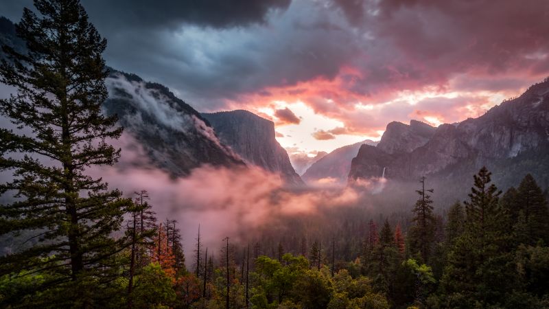 Yosemite National Park, Yosemite Valley, Misty, Morning, 5K, Wallpaper