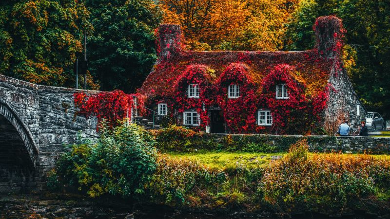 House Covered by Trees, Autumn trees, Bridge, Beautiful, Old House, Seasons, Landscape, Scenery, 5K, Wallpaper