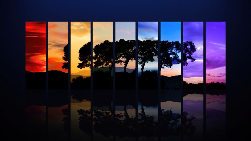 Tree, Sunset, Daylight, Evening, Night, Twilight, Spectrum, Silhouette, Morning, Sunrise, Reflection, Dark, Wallpaper