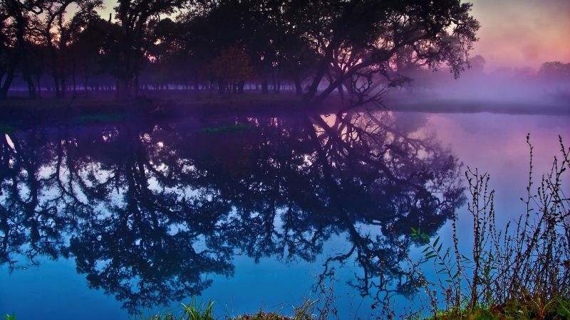 Laguna de Santa Rosa, Trees, Lake, Reflections, Colorful, Sunset, California, Body of Water, Wallpaper
