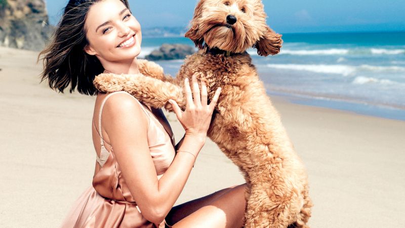 Miranda Kerr, Pet dog, Beach, Photoshoot, Wallpaper