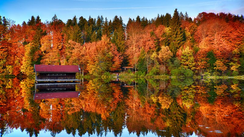 Autumn trees, Forest, Mirror Lake, Reflection, Wooden House, Landscape, Scenery, 5K, 8K, Wallpaper