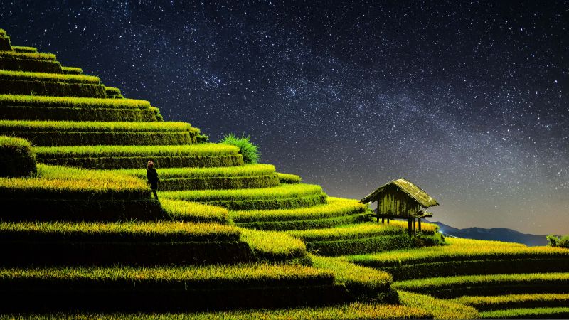 Terrace farming, Rice fields, Agriculture, Country Side, Landscape, Greenery, Paddy fields, Starry sky, Night time, 5K, 8K, Wallpaper