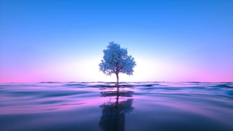 Tree, Neon, Body of Water, Reflection, Clear sky, Pink, Blue, Wallpaper