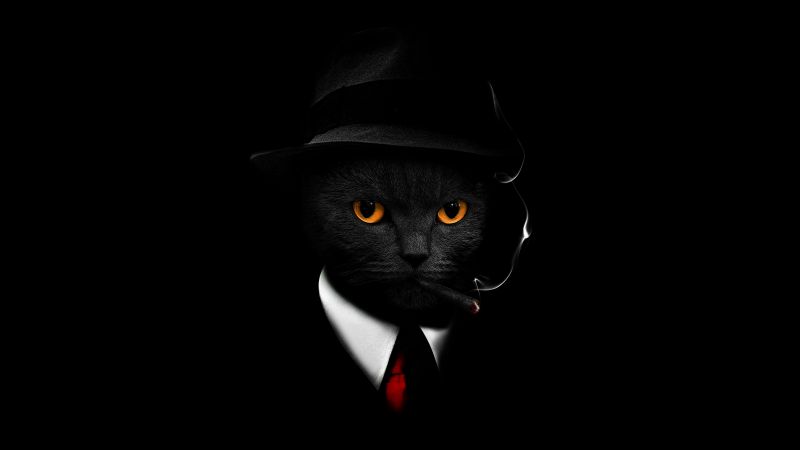 Black Cat, Black background, Hat, Suit, Cigar, Scary, Wallpaper