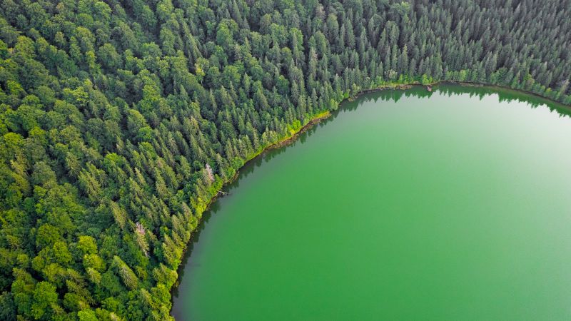 Green Lake, Green Trees, Aerial view, Forest, Landscape, Woodland, Scenery, Wallpaper