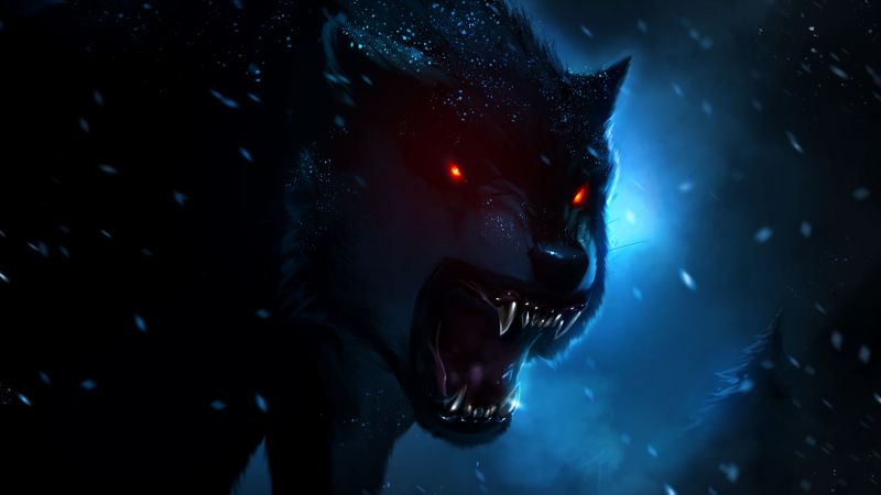Black wolf red eyes snow fall dark background night time 
