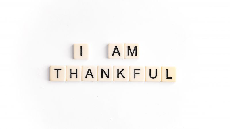 Happy Thanksgiving, Thankful, Thanksgiving Day, White background, 5K, Wallpaper