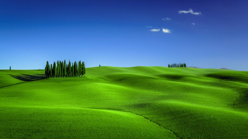 Green Meadow, Torrenieri, Tuscany, Italy, Clear sky, Landscape, Blue Sky, Spring, 5K, Wallpaper