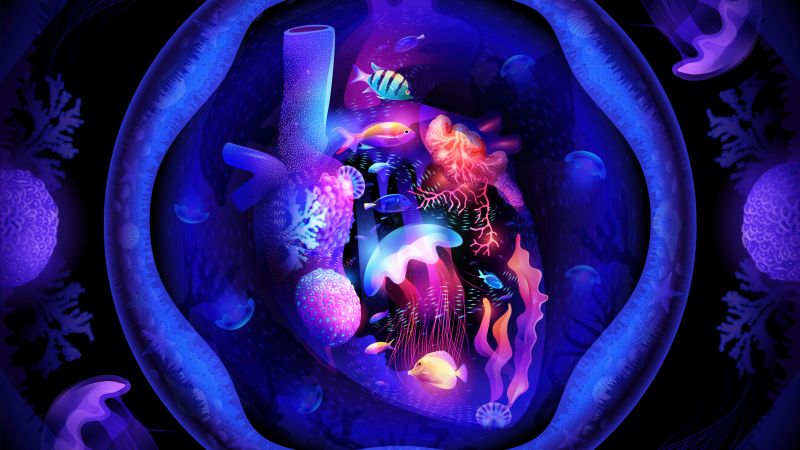 Neon, Under the Sea, Heart, Ocean, Aquarium, Jellyfishes, Wallpaper