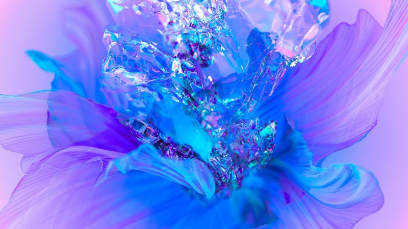 Purple Flower, Floral Background, Colorful, 3D background, Digital Art, Wallpaper