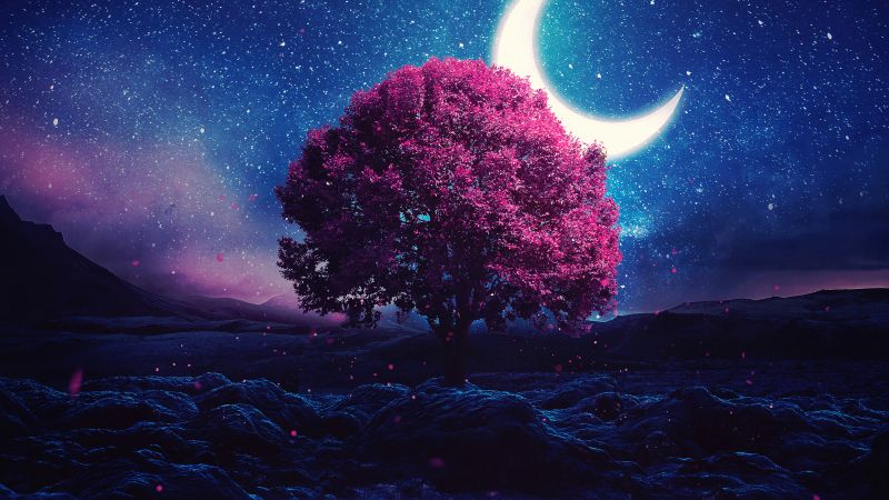 Lone tree, Crescent Moon, Half moon, Starry sky, Night, Lake, Girly backgrounds, Night sky, Aesthetic, Wallpaper
