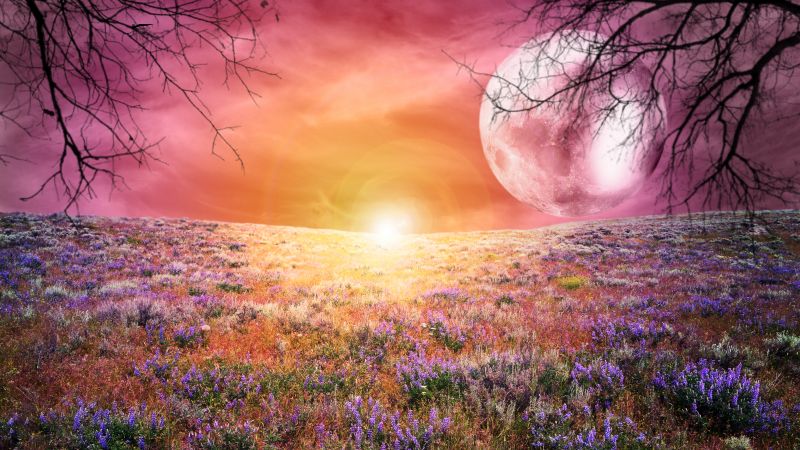 Sunrise, Landscape, Scenic, Surreal, Moon, Spring, Pink sky, Wallpaper