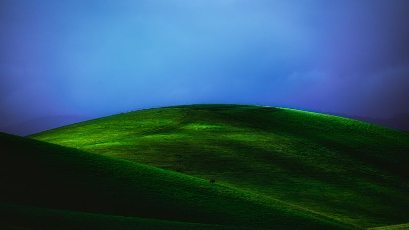 Green Meadow, Grass field, Blue Sky, Foggy, Landscape, Scenery, 5K, Wallpaper