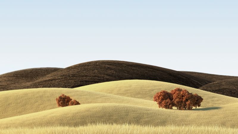 Landscape, Countryside, Wheat field, Sunny day, Vivo Pad, Stock, Wallpaper
