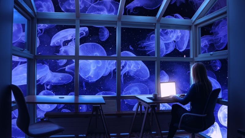 Jellyfishes, Underwater, Woman, Working, Work from Home, Window, Laptop, Surreal, Desk, 3D background, Ocean, Wallpaper