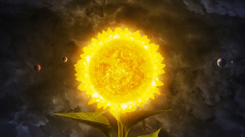 Solar system sunflower planets concept art 5k 8k 