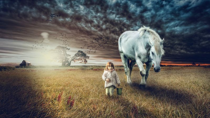 Cute girl, Countryside, White horse, Sunset, Farm Land, 5K, Wallpaper