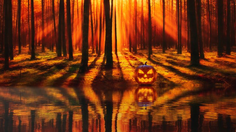 Jack-o'-lantern, Halloween Pumpkin, Forest, Lake, Reflection, Autumn Forest, Sunlight, Sunset, Trees, 5K, 8K, Wallpaper