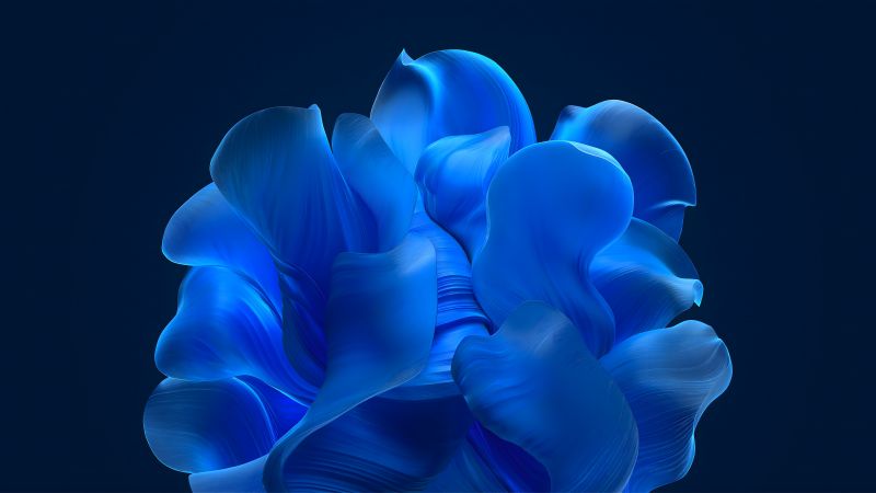 Windows 11, Blue aesthetic, Bloom collection, Blue background, Blue abstract, 5K, 8K, Wallpaper