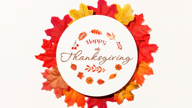Happy Thanksgiving, Thanksgiving Day, Autumn leaves, White background, Wallpaper