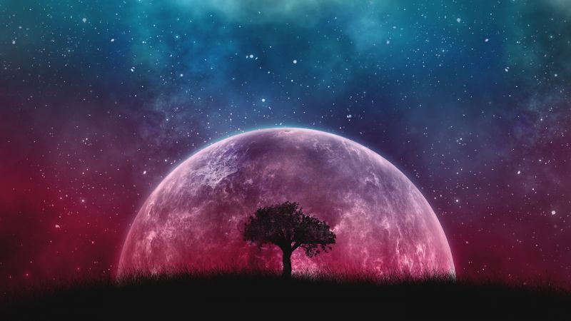 Lone tree, Planet, Surreal, Night, Silhouette, Starry sky, 5K, Wallpaper