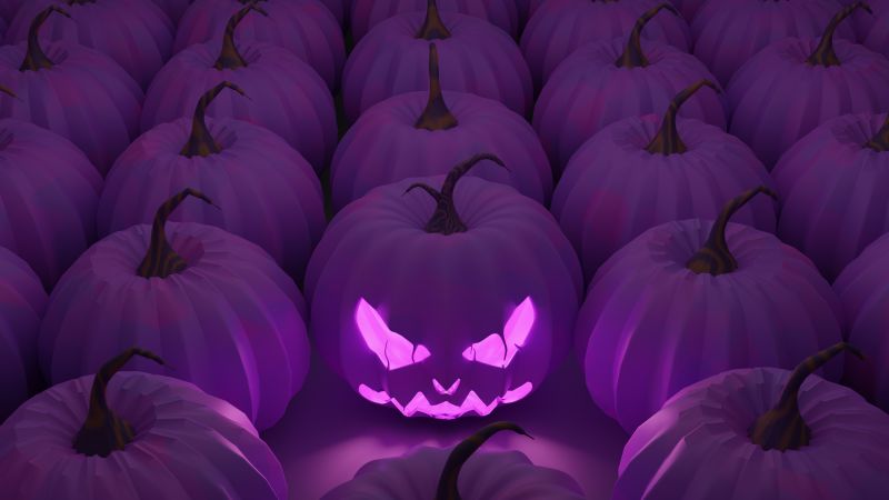 Halloween Pumpkin, Purple pumpkins, Scary, Purple background, Wallpaper