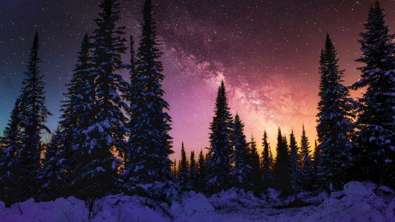 Winter, Milky Way, Snow covered, Pine trees, Sunset, 5K, Wallpaper