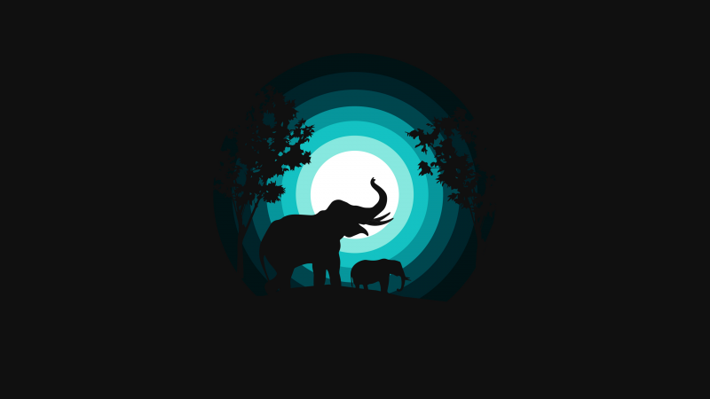 Elephant, Elephant cub, Silhouette, Night, Teal, Black background, Wallpaper