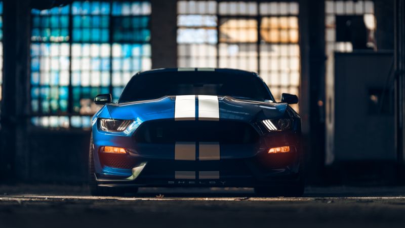 Ford Mustang Shelby GT350, American muscle car, Muscle sports cars, 5K, Wallpaper