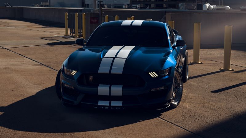 Ford Mustang Shelby GT350, Muscle cars, 5K, Wallpaper