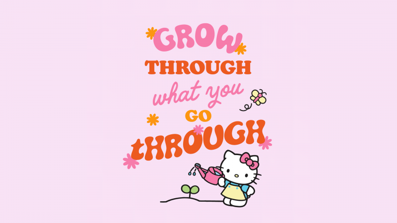 Go through, Go through, Hello Kitty background, Pink background, Wallpaper