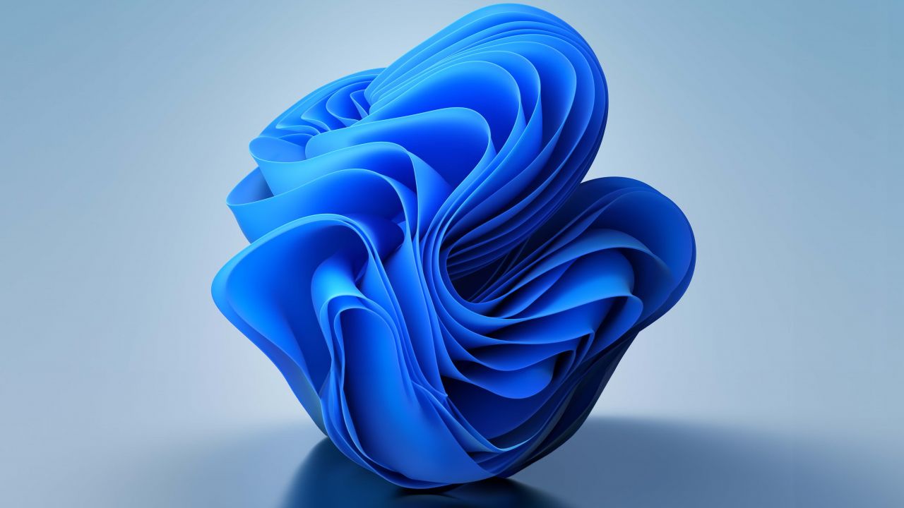 bloom windows 11