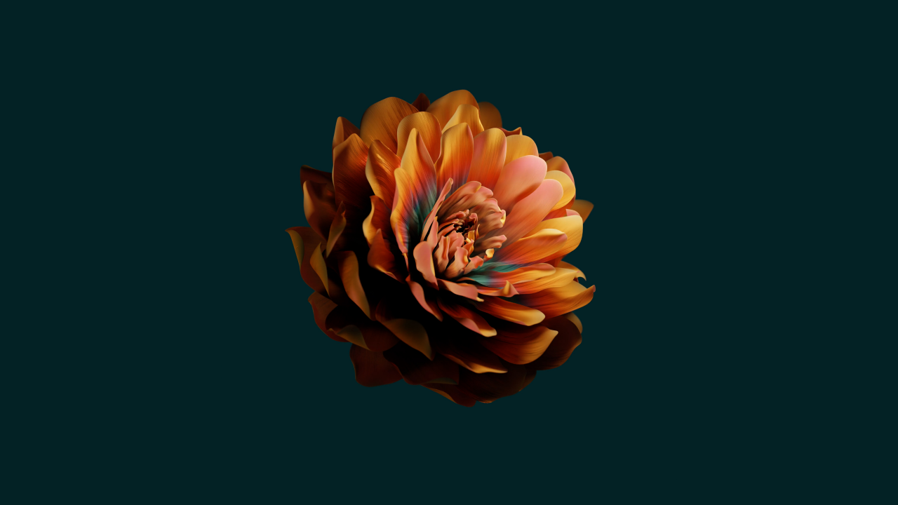 abstract flower