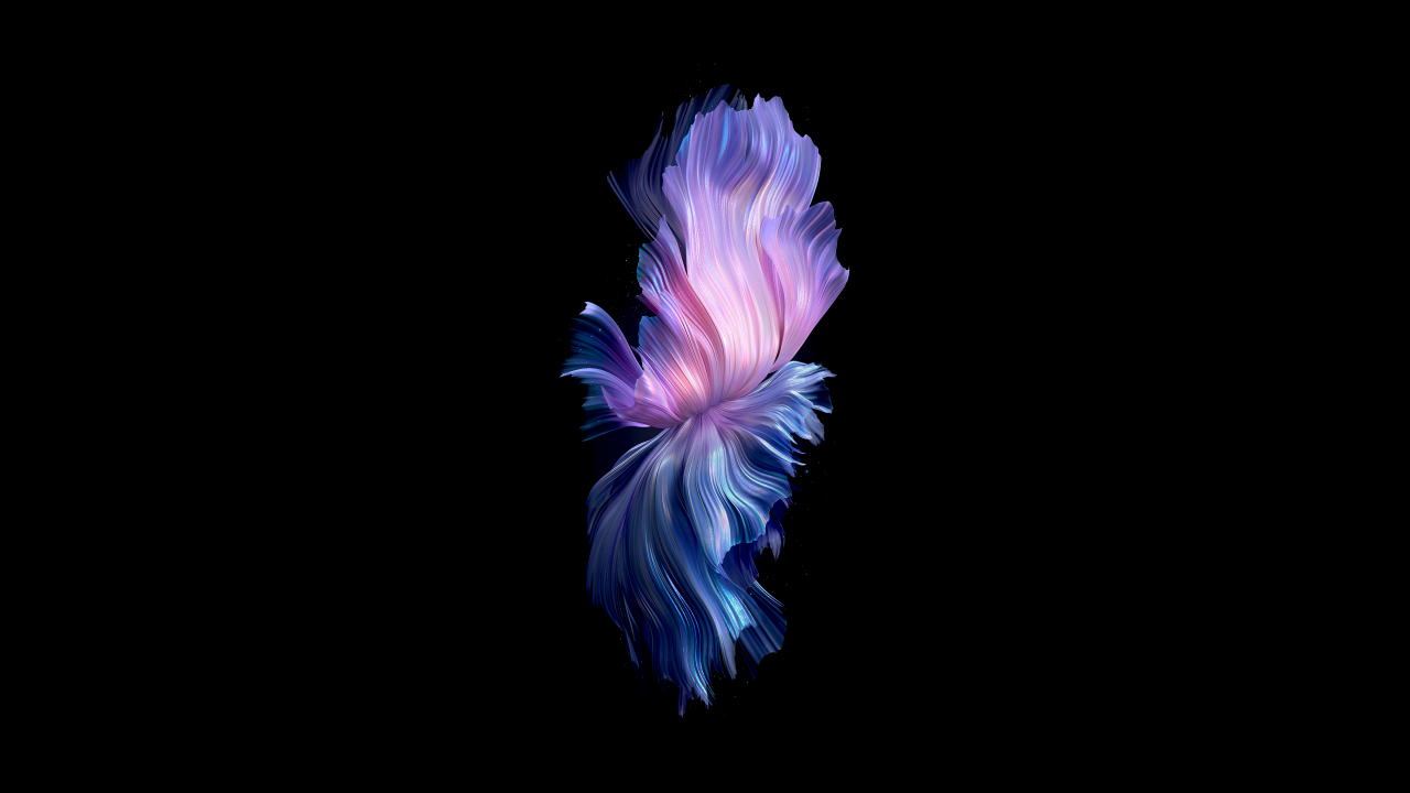 vivo x flip stock