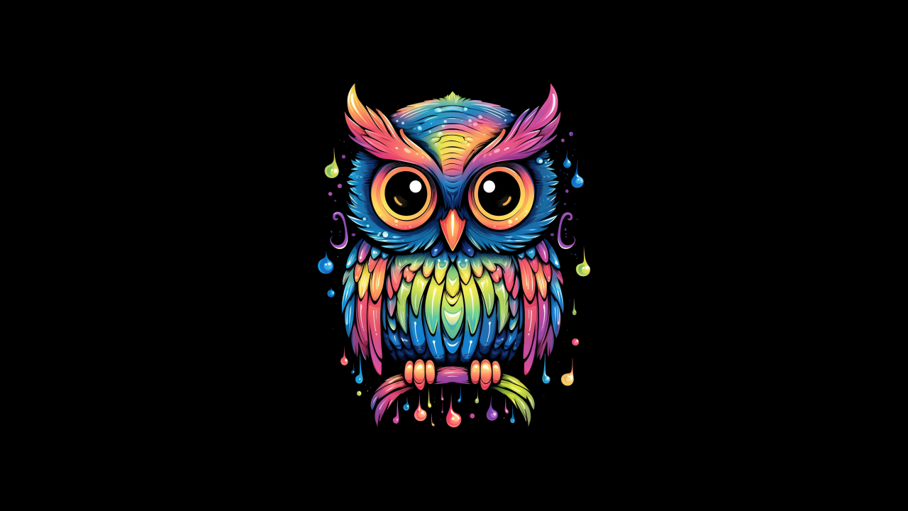 colorful owl cute