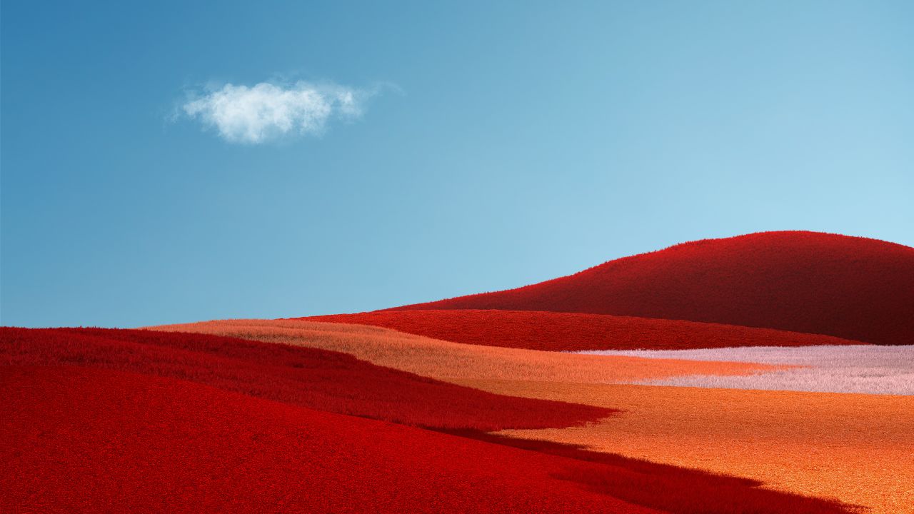 Red Grass Wallpaper 4K, Landscape, Grass field, Clear sky