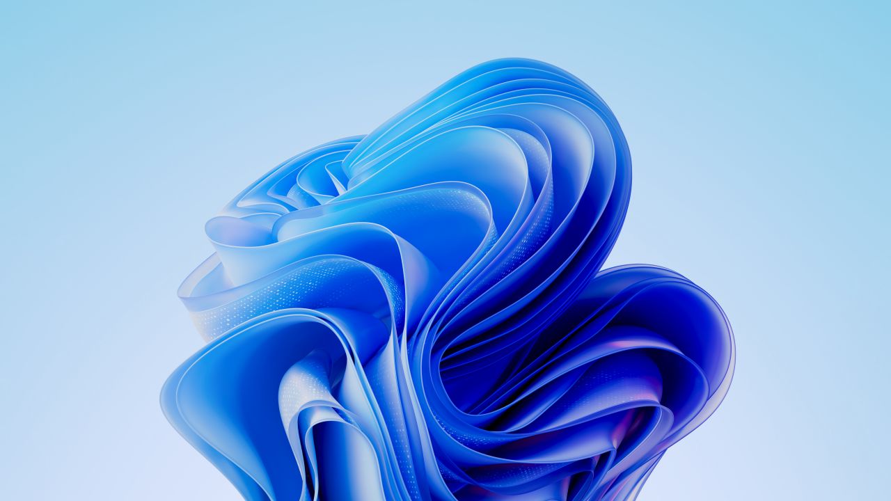 windows 11 bloom