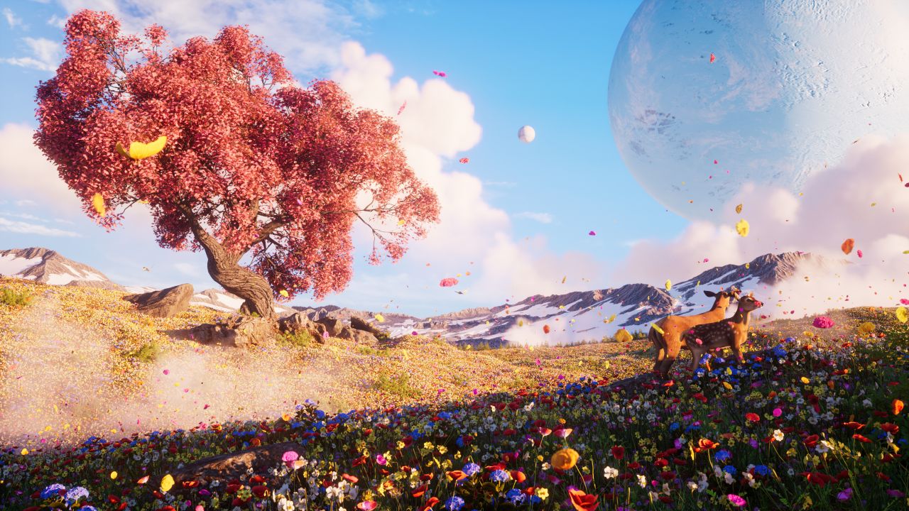 wildflowers