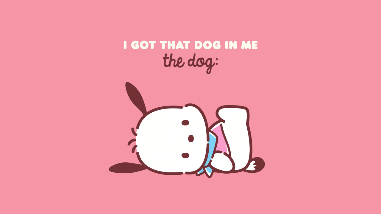 sanrio pochacco