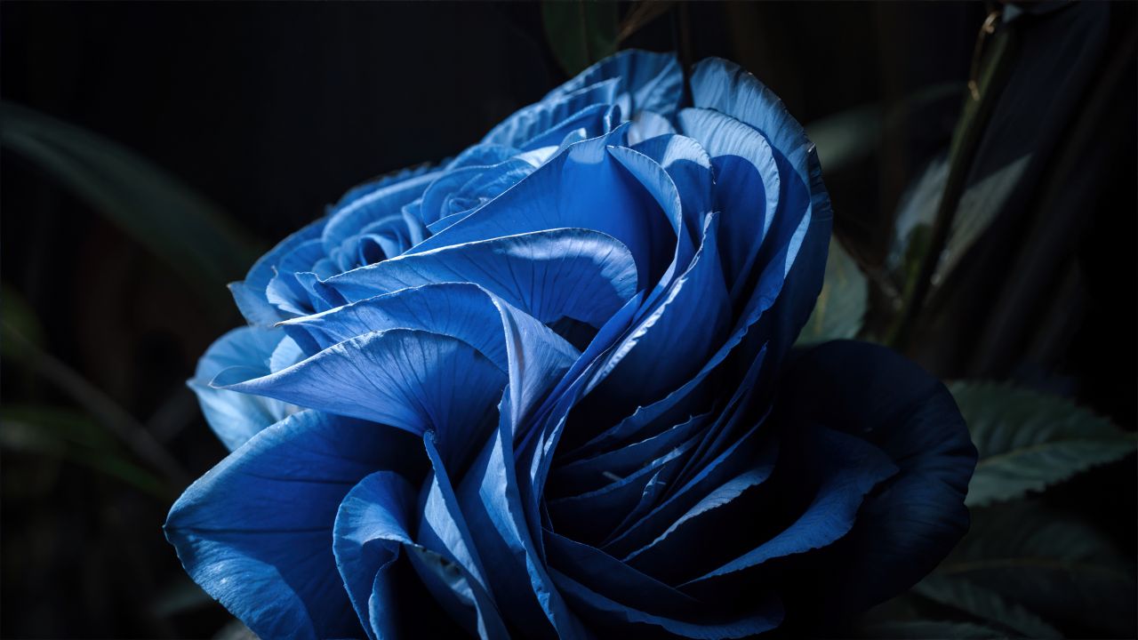 windows 11 bloom ai