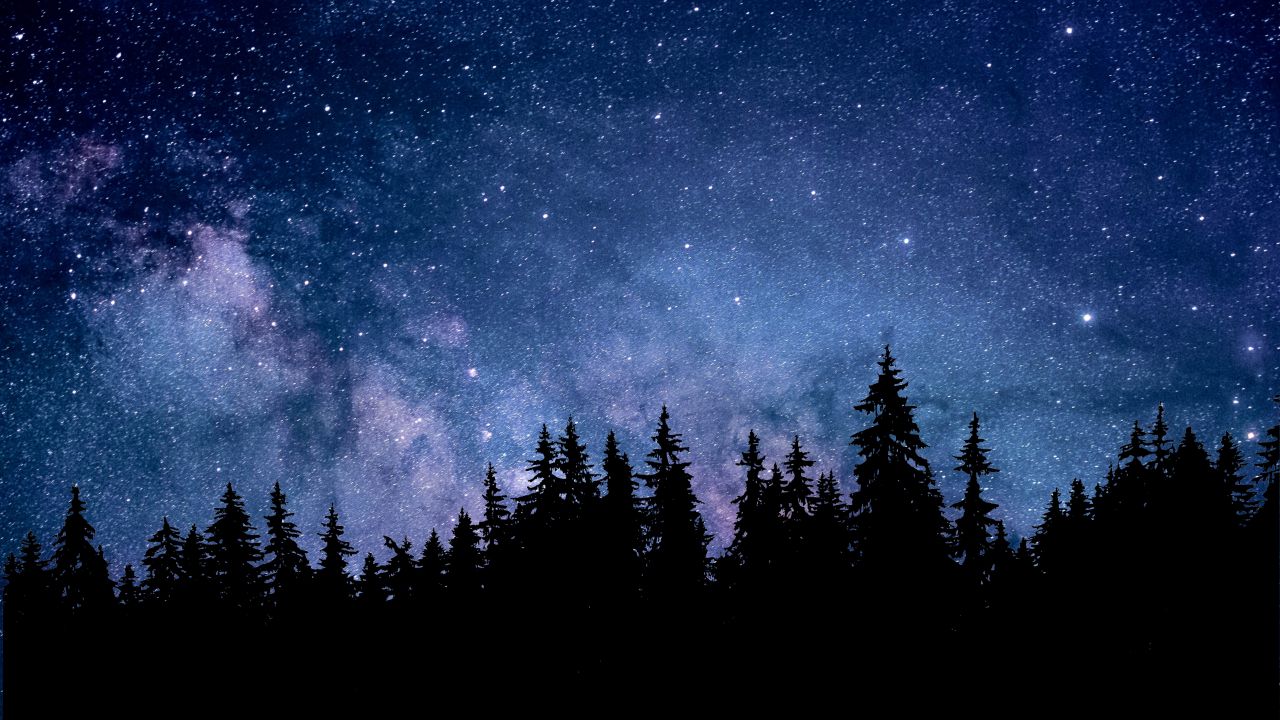 Night Wallpaper 4k, Starry Sky, Forest, Silhouette