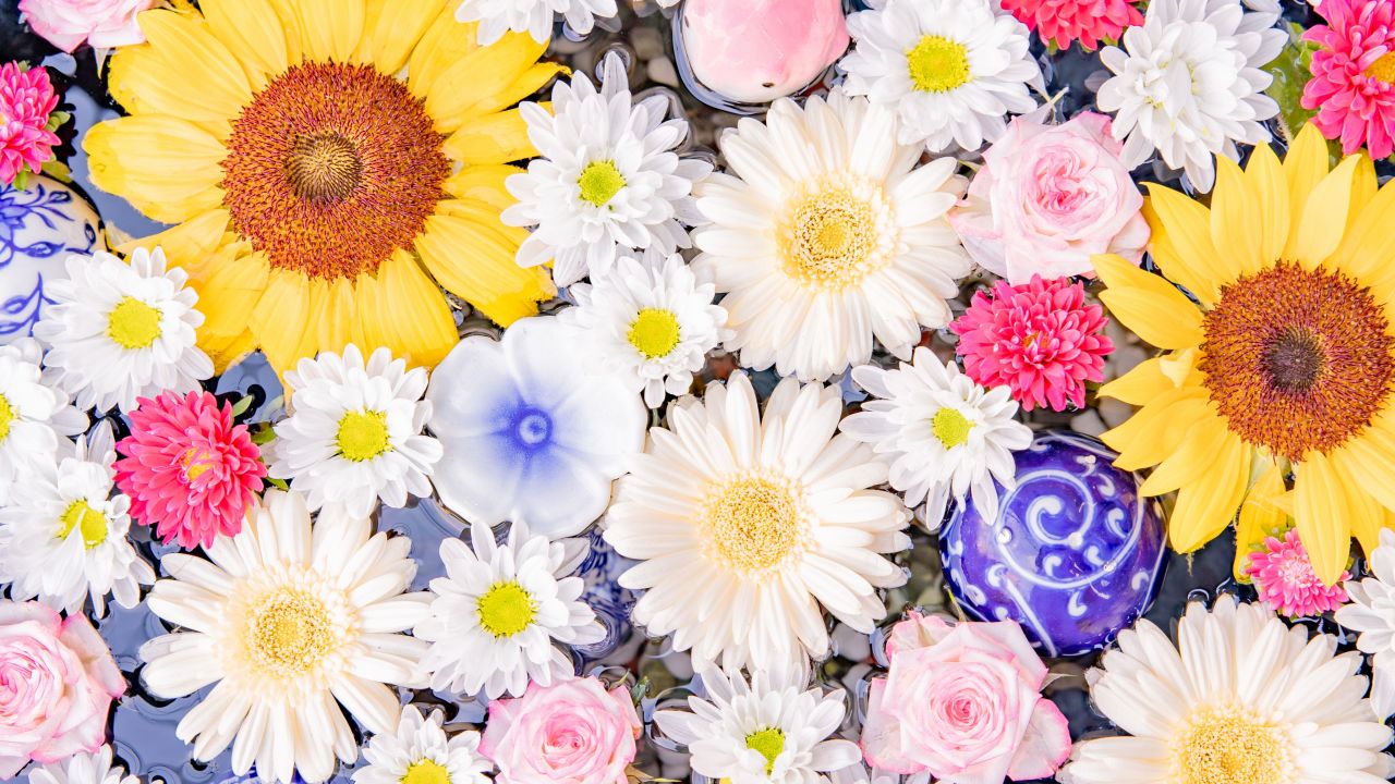 colorful flower