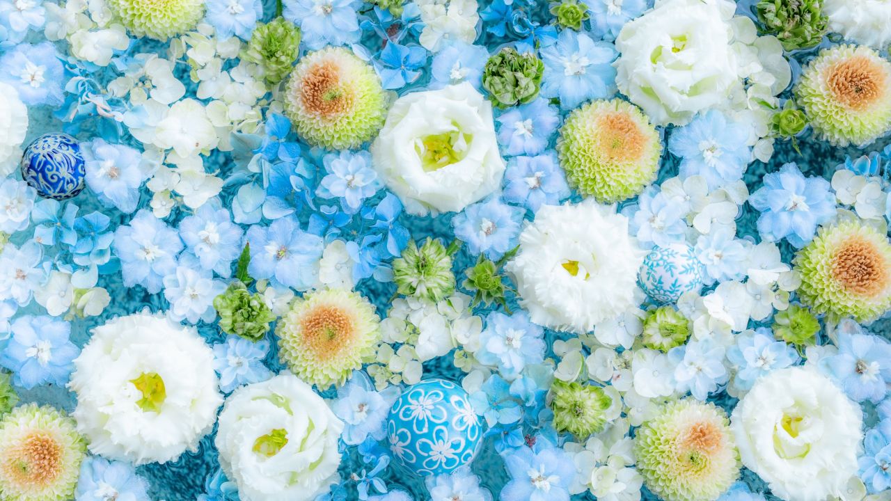 blue flowers