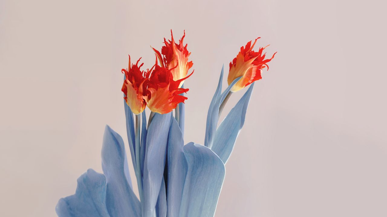 red flowers