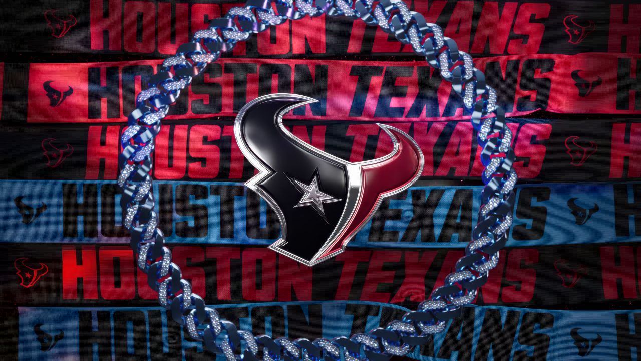 houston texans 3d