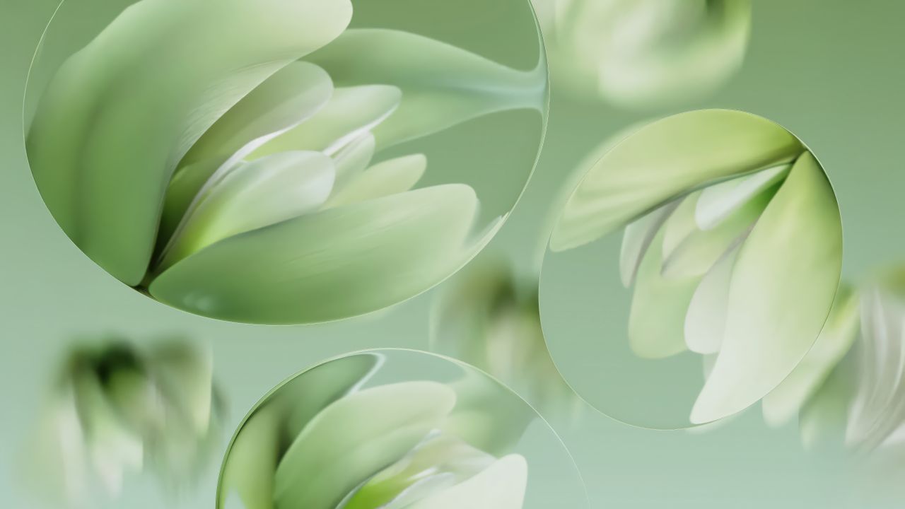 water lilies